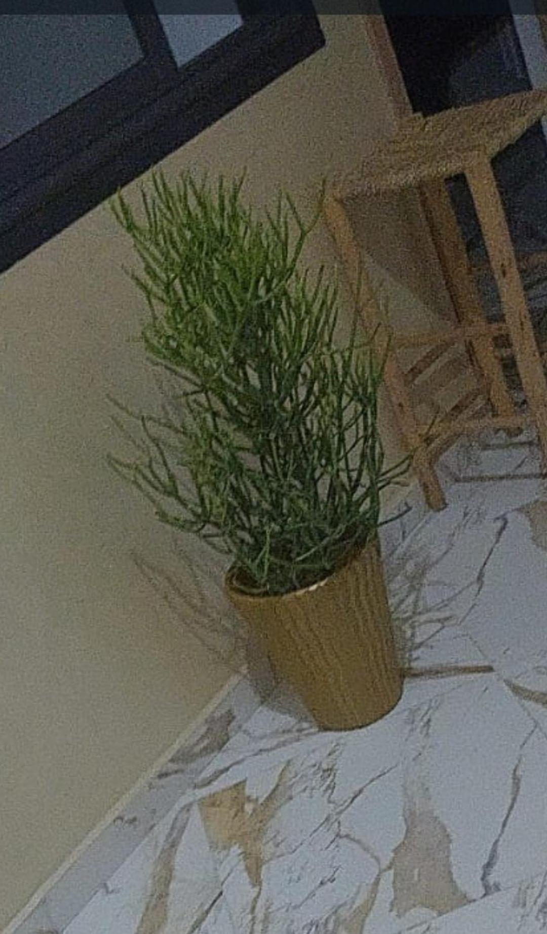 Mogador Appartements T6 Suvayr Dış mekan fotoğraf
